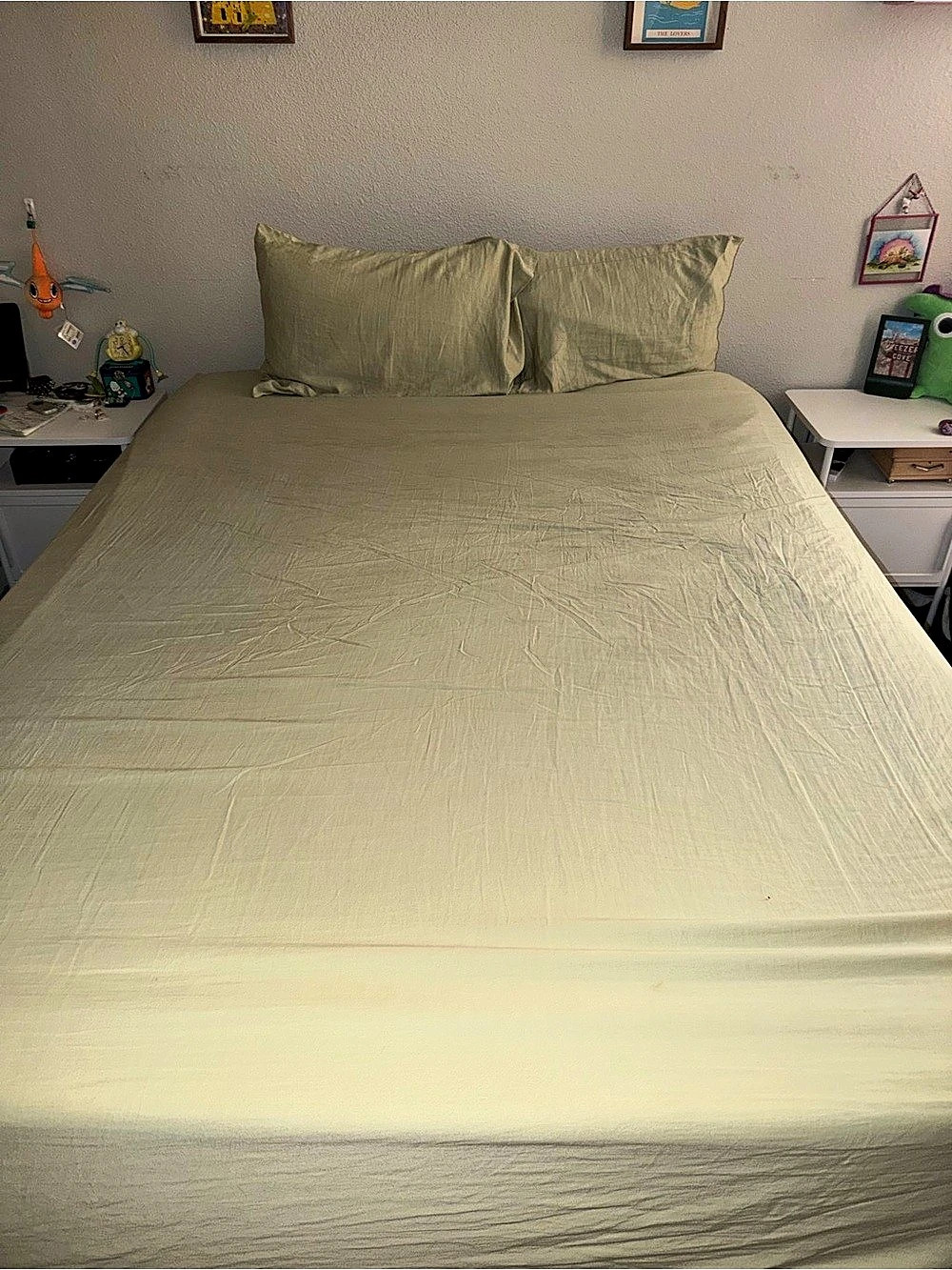 Queen Size Light Green Fitted Sheet And 2 Pillowcases Sheet Set